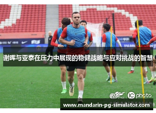 谢晖与亚泰在压力中展现的稳健战略与应对挑战的智慧