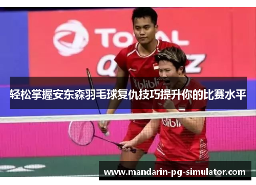 轻松掌握安东森羽毛球复仇技巧提升你的比赛水平