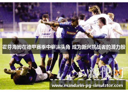 霍芬海姆在德甲赛季中崭露头角 成为新兴挑战者的潜力股