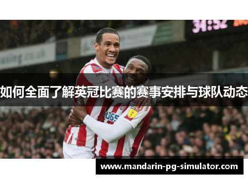 如何全面了解英冠比赛的赛事安排与球队动态