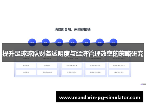 提升足球球队财务透明度与经济管理效率的策略研究
