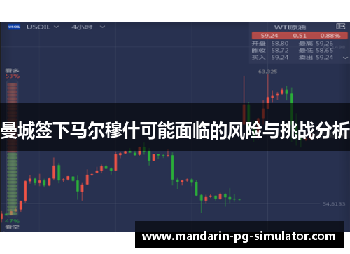曼城签下马尔穆什可能面临的风险与挑战分析