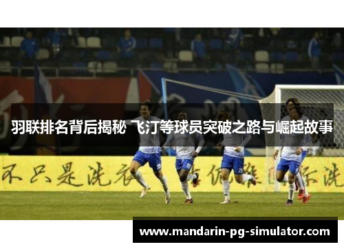 羽联排名背后揭秘 飞汀等球员突破之路与崛起故事