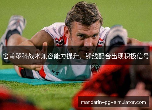 舍甫琴科战术兼容能力提升，锋线配合出现积极信号